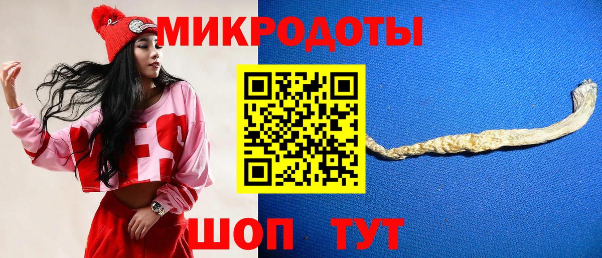 дарнет шоп  Галлюциногенные грибы прущие грибы  Вход с VPN  Горно-Алтайск 