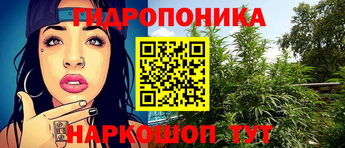 Бошки марихуана THC 21%  Вход с VPN  Канабис планчик  Горно-Алтайск 